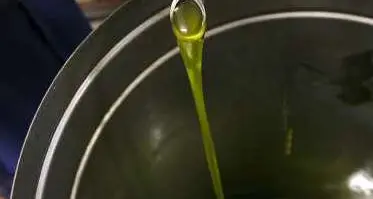 Venduto come extravergine era semplice olio di oliva