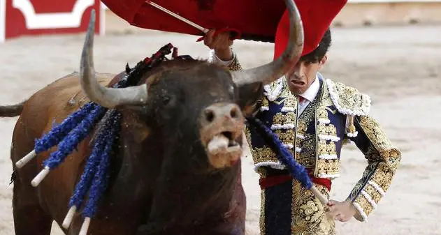 Torero incornato torna per corrida dopo mezz'ora