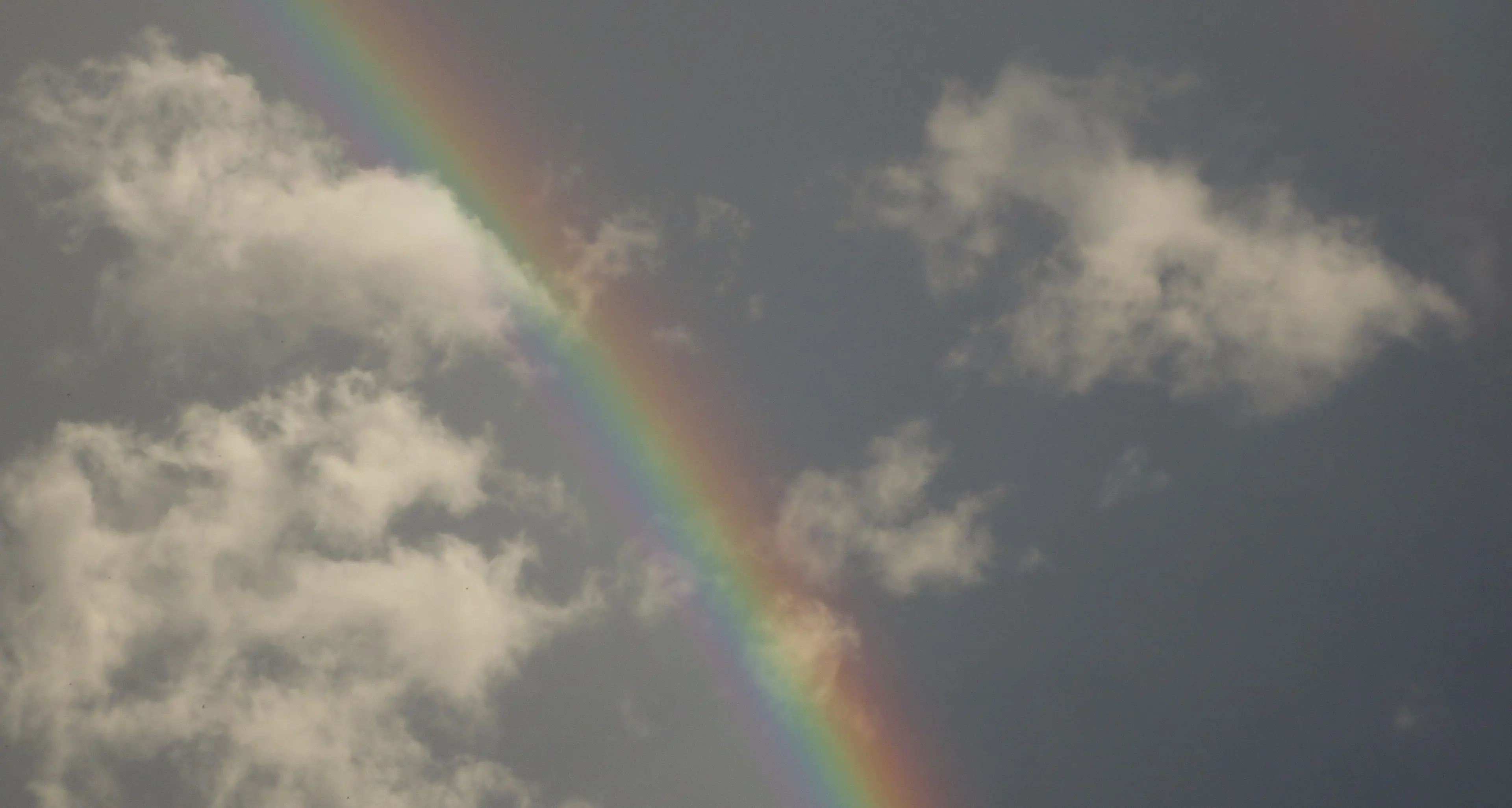Arcobaleno nitido sul basso Trentino Turisti e residenti col naso all'insù