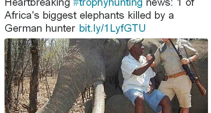 Riccone paga 60 mila dollari per abbattere l'elefante