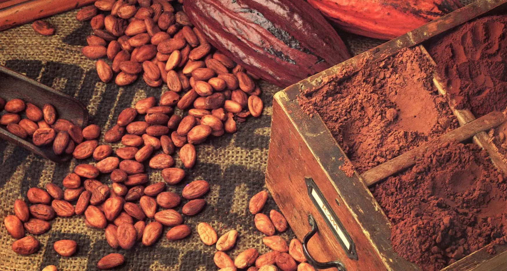 Il mercato mondiale del cacao vale 210 milioni di dollari