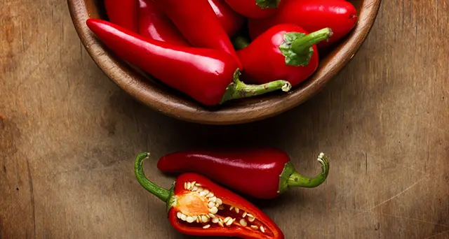Campi incolti in Vallagarina? Nuova vita con il peperoncino