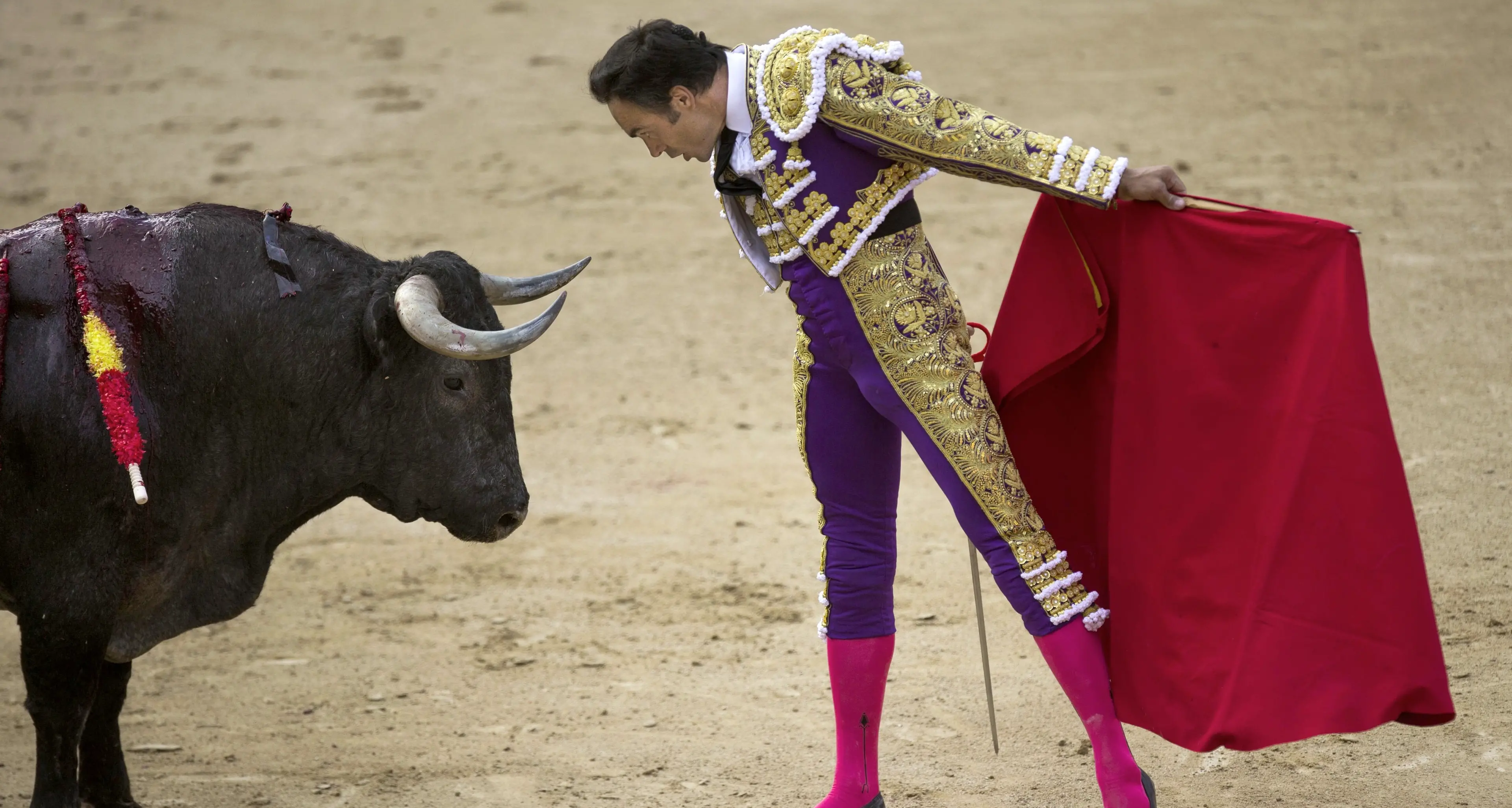 Protestano contro la corrida: matador grazia il toro