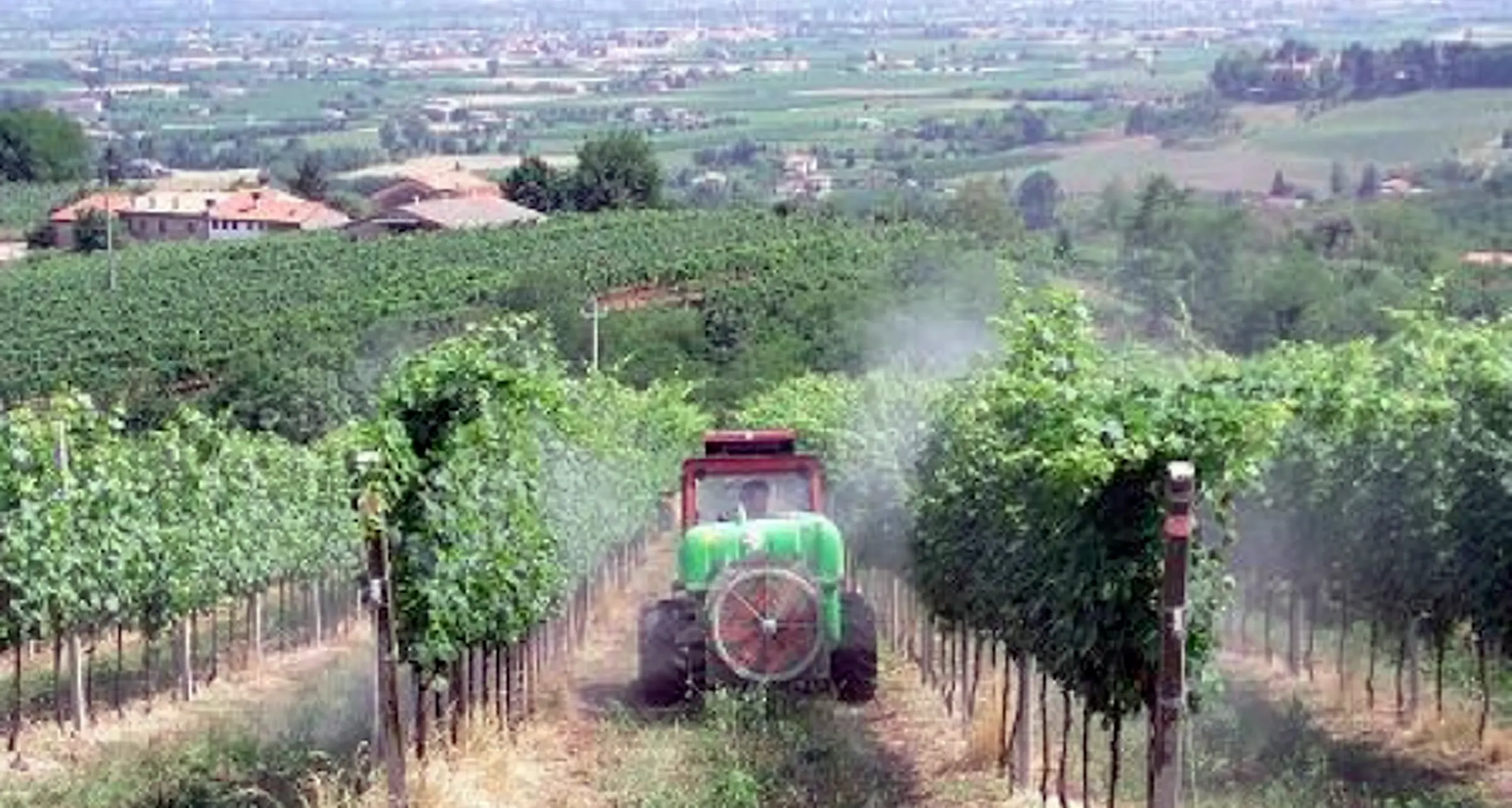 Pesticidi, Fraccaro attacca Zeni E rilancia: «Provincia biologica»