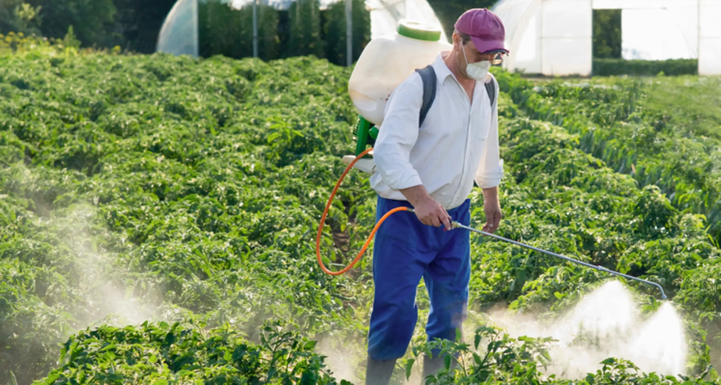 Pesticidi, in Trentino alto inquinamento del terreno Al secondo posto in Italia dopo il Veneto
