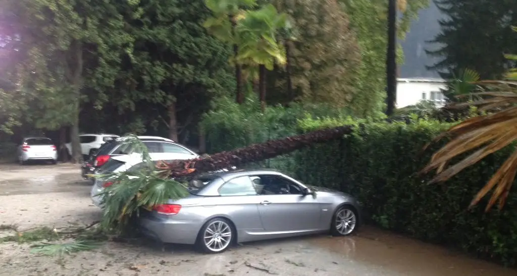 Pioggia battente e trombe d'aria in Trentino A Riva e Arco alberi sulle automobili