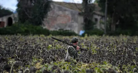 Cacciatore spara a fagiano ma uccide il fratello