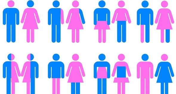 Vola l'hashtag #ècolpadelgender L'ironia contro le falsità