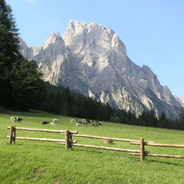 tracce N° 2 - 18 Agosto 2015