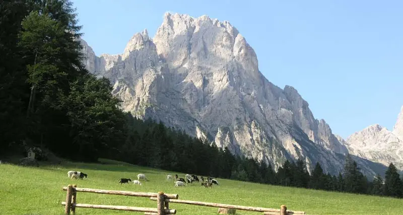 tracce N° 2 - 18 Agosto 2015