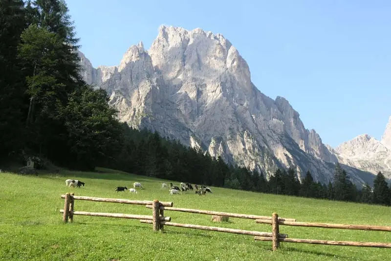 tracce N° 2 - 18 Agosto 2015
