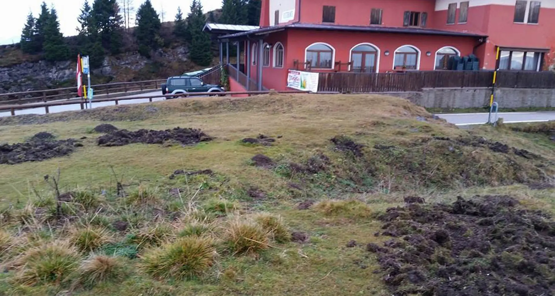 Tremalzo, Scanuppia, i Lessini sotto l'attacco dei cinghiali