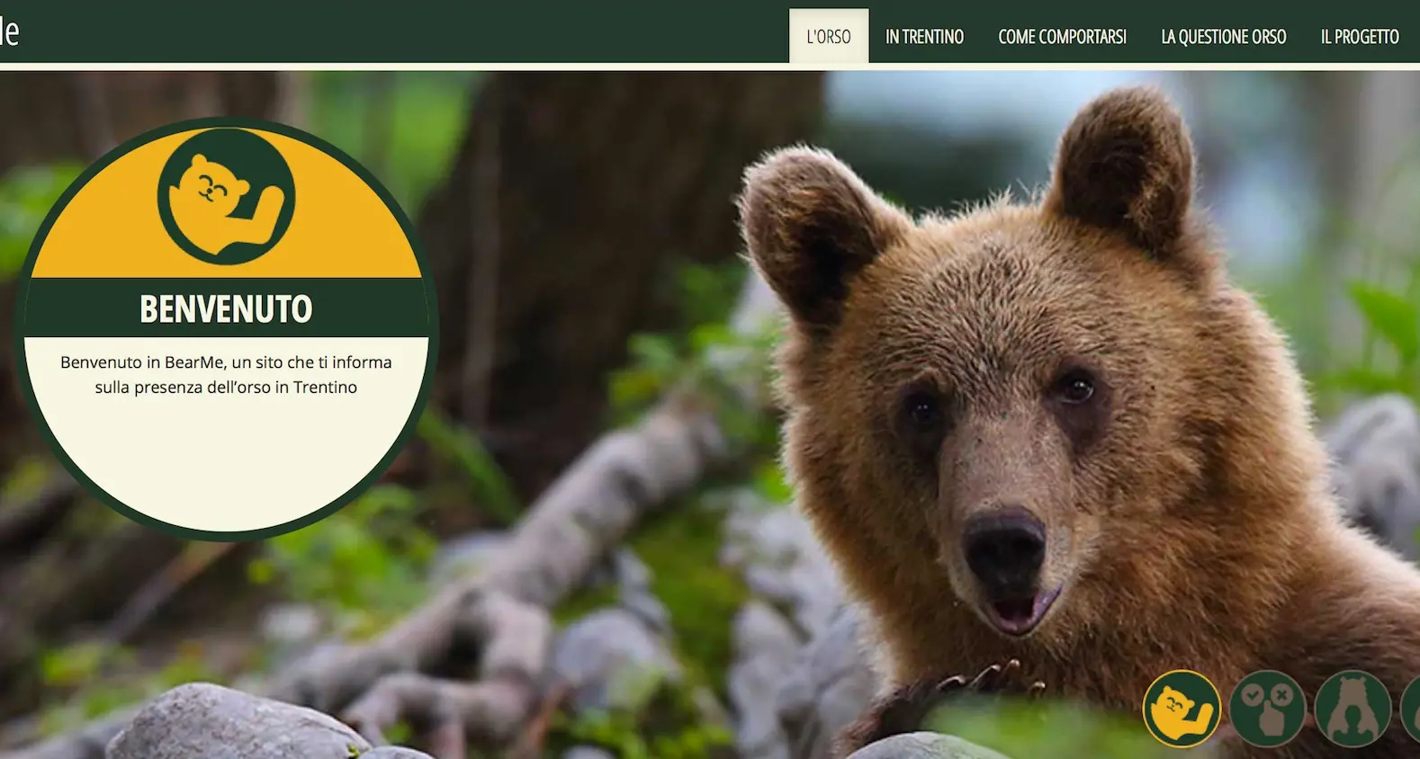 Orso, come conviverci e cosa sapere È on line il sito bearme.it