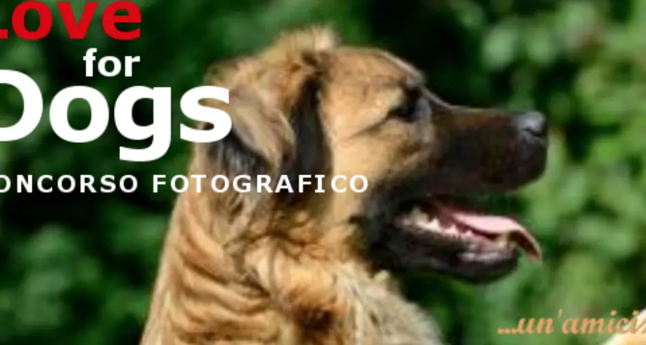 Pergine «capitale» dei cani