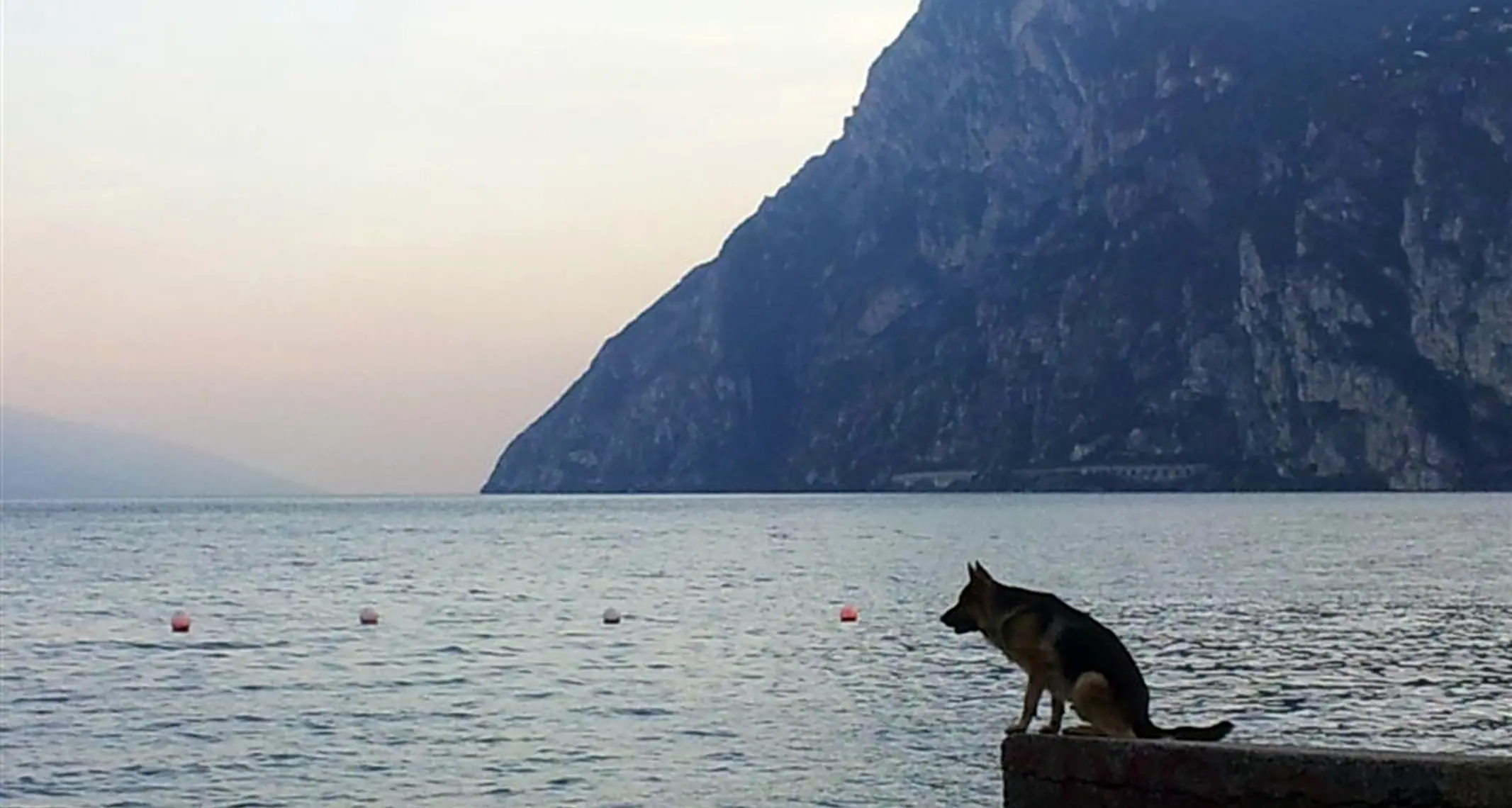 Aree cani e «Bau beach» a Riva, per ora nessuna novità sul litorale