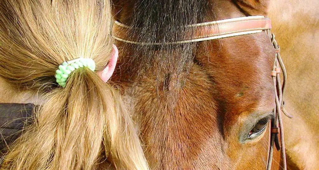 «Tagliati gli interventi per bimbi malati gravi»