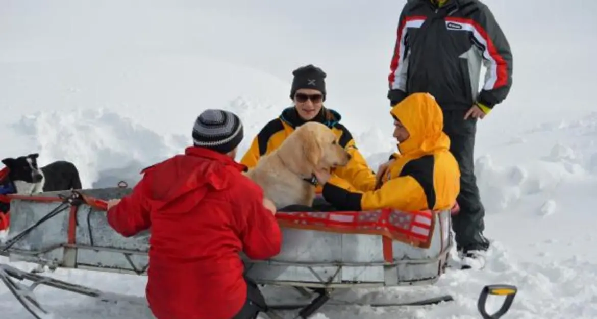 Cani da soccorso e ricerca impegnati in prova a Marco