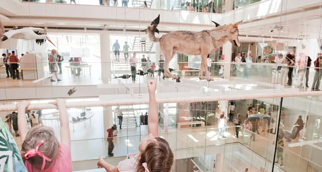 La Classifica dei primi cento musei in Italia: il MUSE nelle prime posizioni anche quest’anno