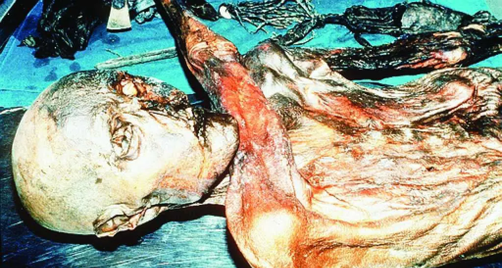 Sorpresa: Ötzi racconta la storia delle migrazioni