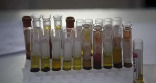 Le promettenti ricerche contro il cancro al seno: usando il virus dell'Herpes come killer dei tumori