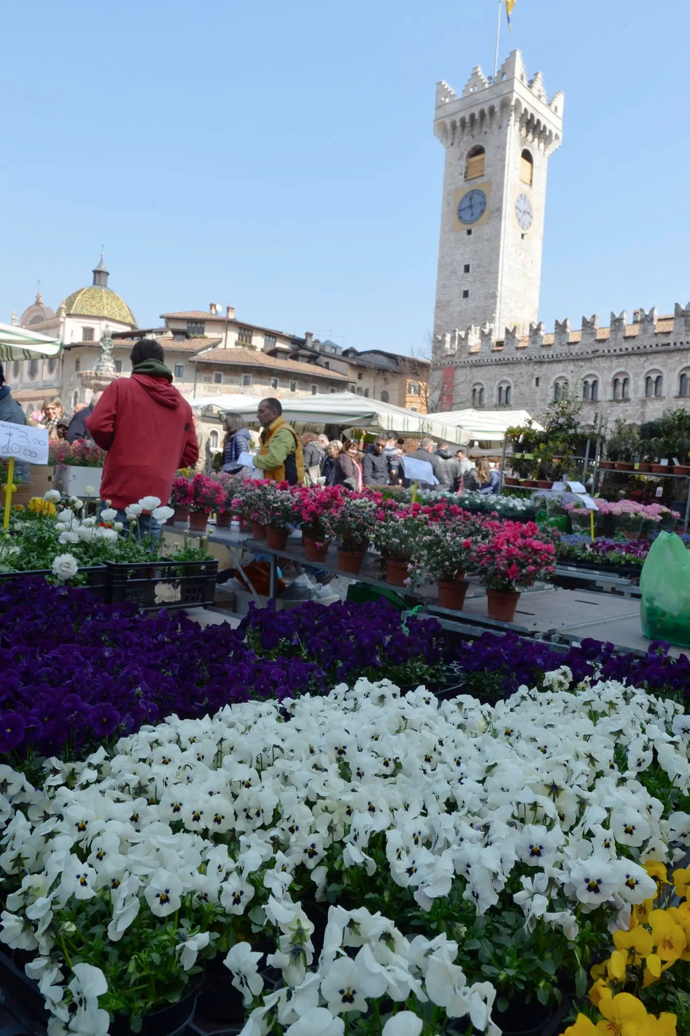 Una festa di primavera tra fiori e bancarelle