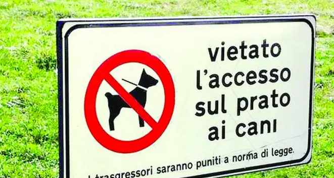 «Troppi cani nei frutteti» I contadini vogliono i divieti