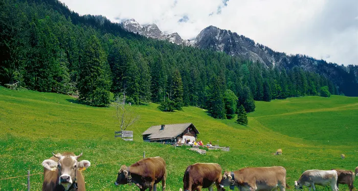 In Svizzera nei luoghi veri di Heidi, dove ti sorridono i monti
