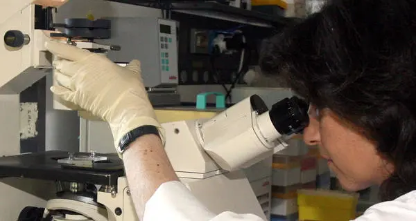 Da ricerca italiana cellule killer contro il cancro