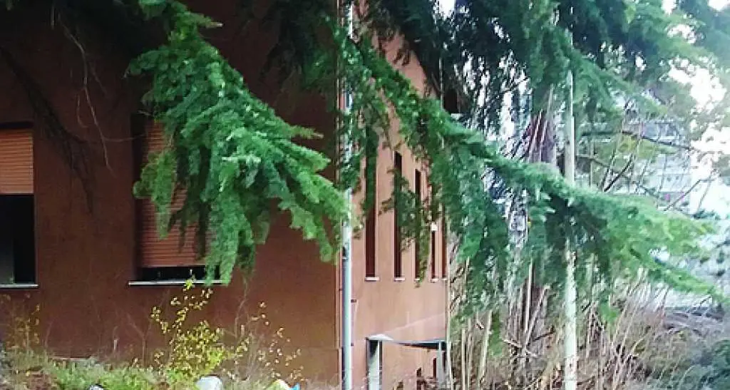 Mori stazione, allarme degrado rifiuti abbandonati e vandalismi