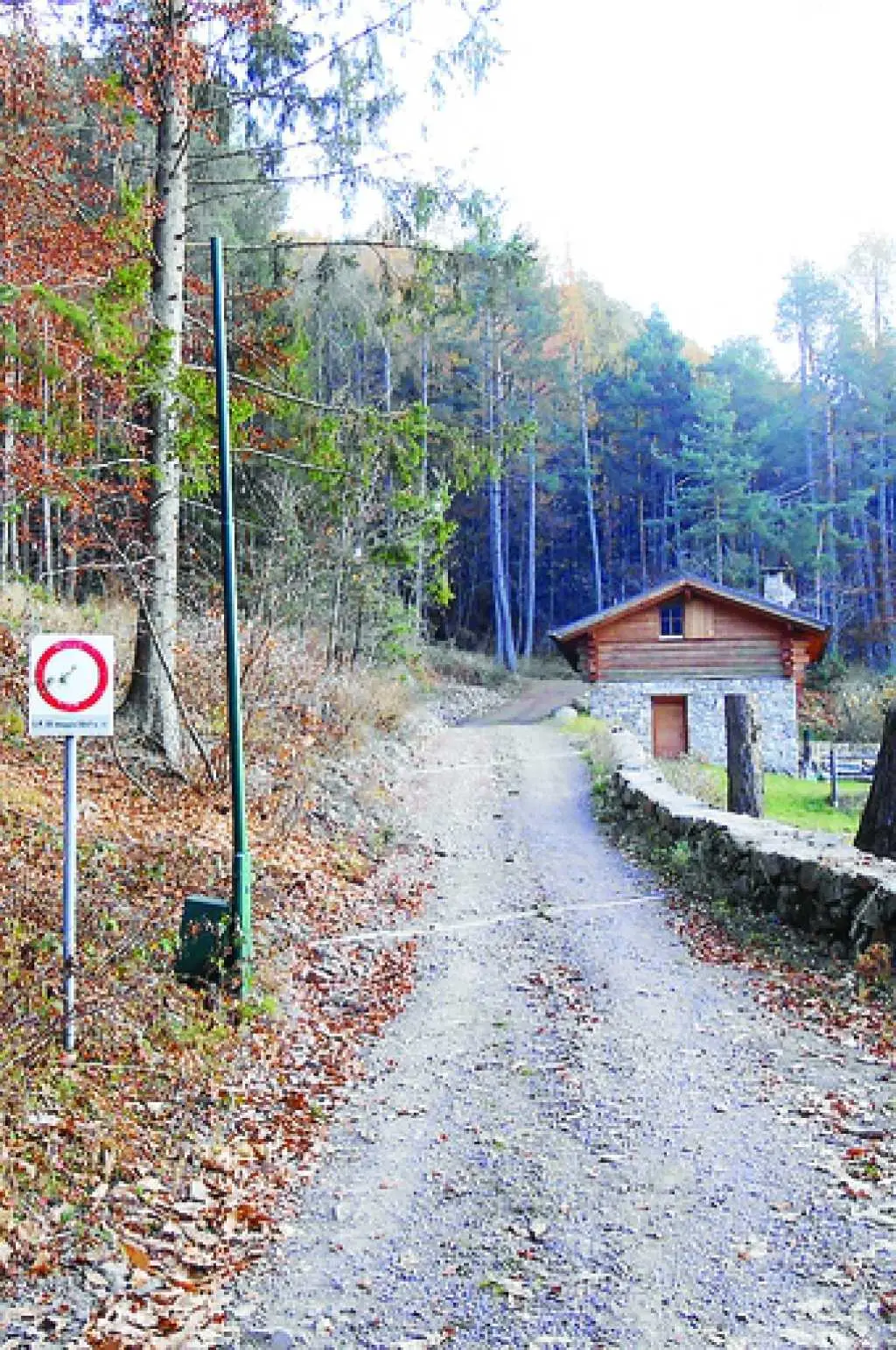 Le strade forestali resteranno chiuse per i cacciatori