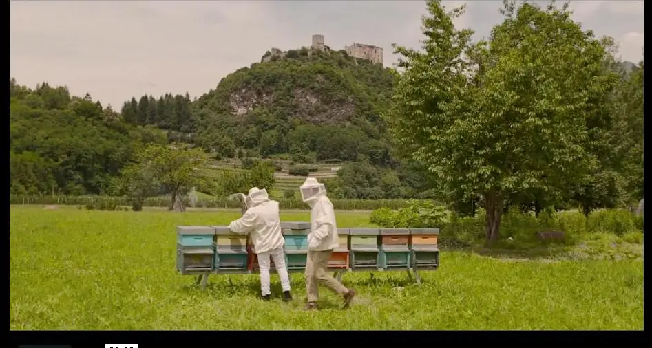 «Beeloved», un corto trentino dice sì al ddl sulle unioni civili