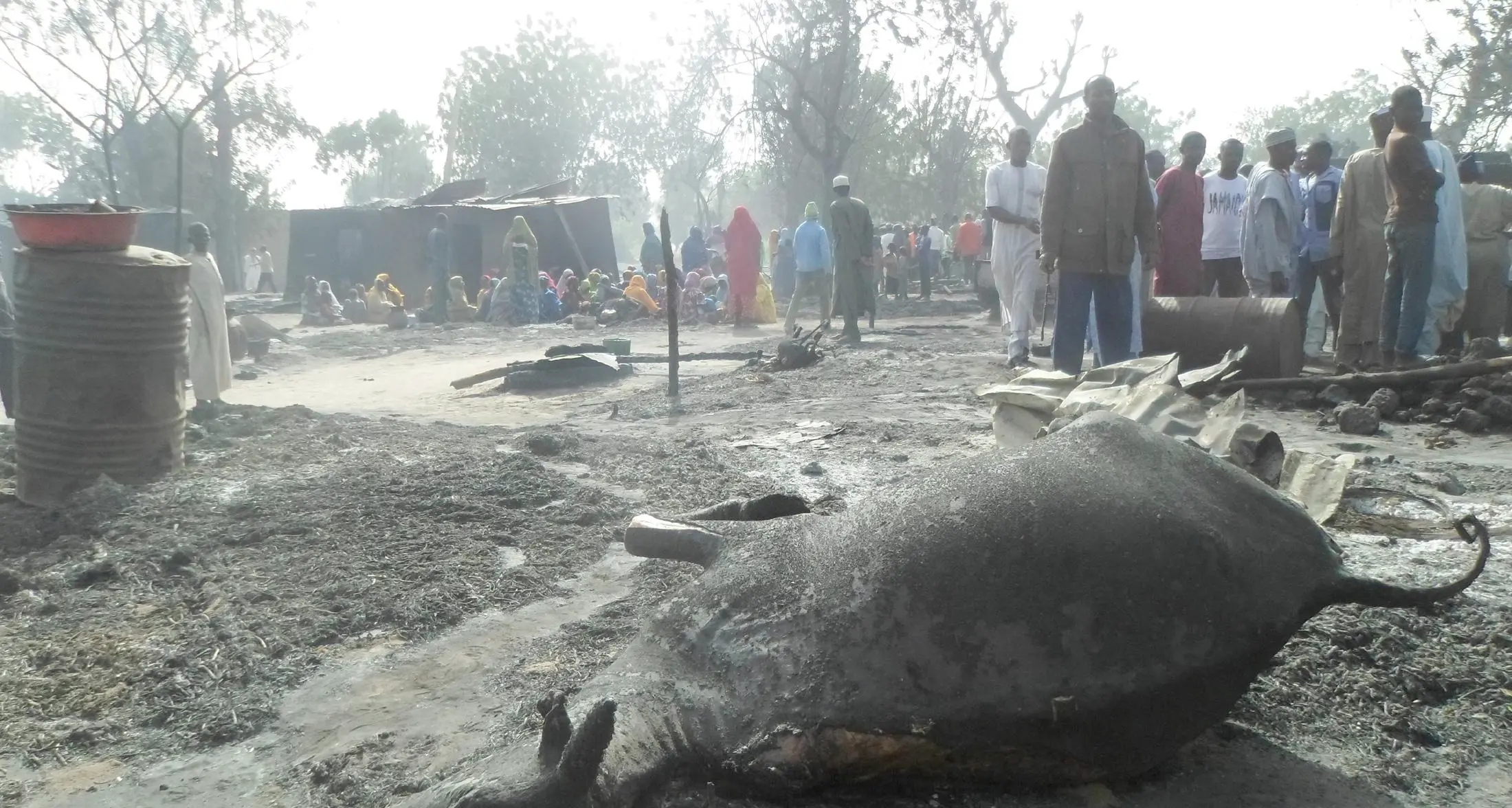 Nuova strage di Boko Haram Anche bambini bruciati vivi