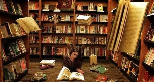 Libri, 11.600 testi in prestito interbibliotecario