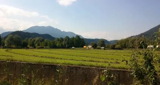 Squartata una giovenca. Caccia agli autori del gesto