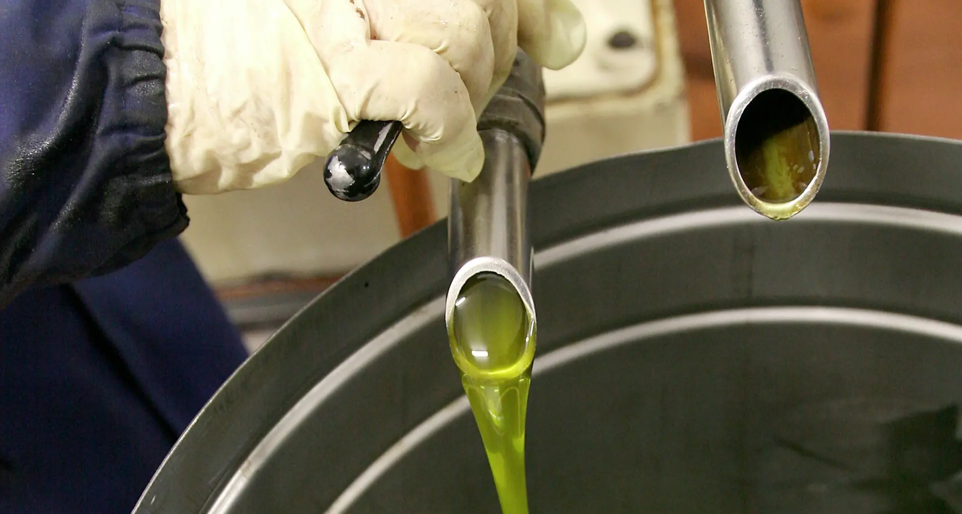 Invasione di olio tunisino. I produttori del Garda sereni