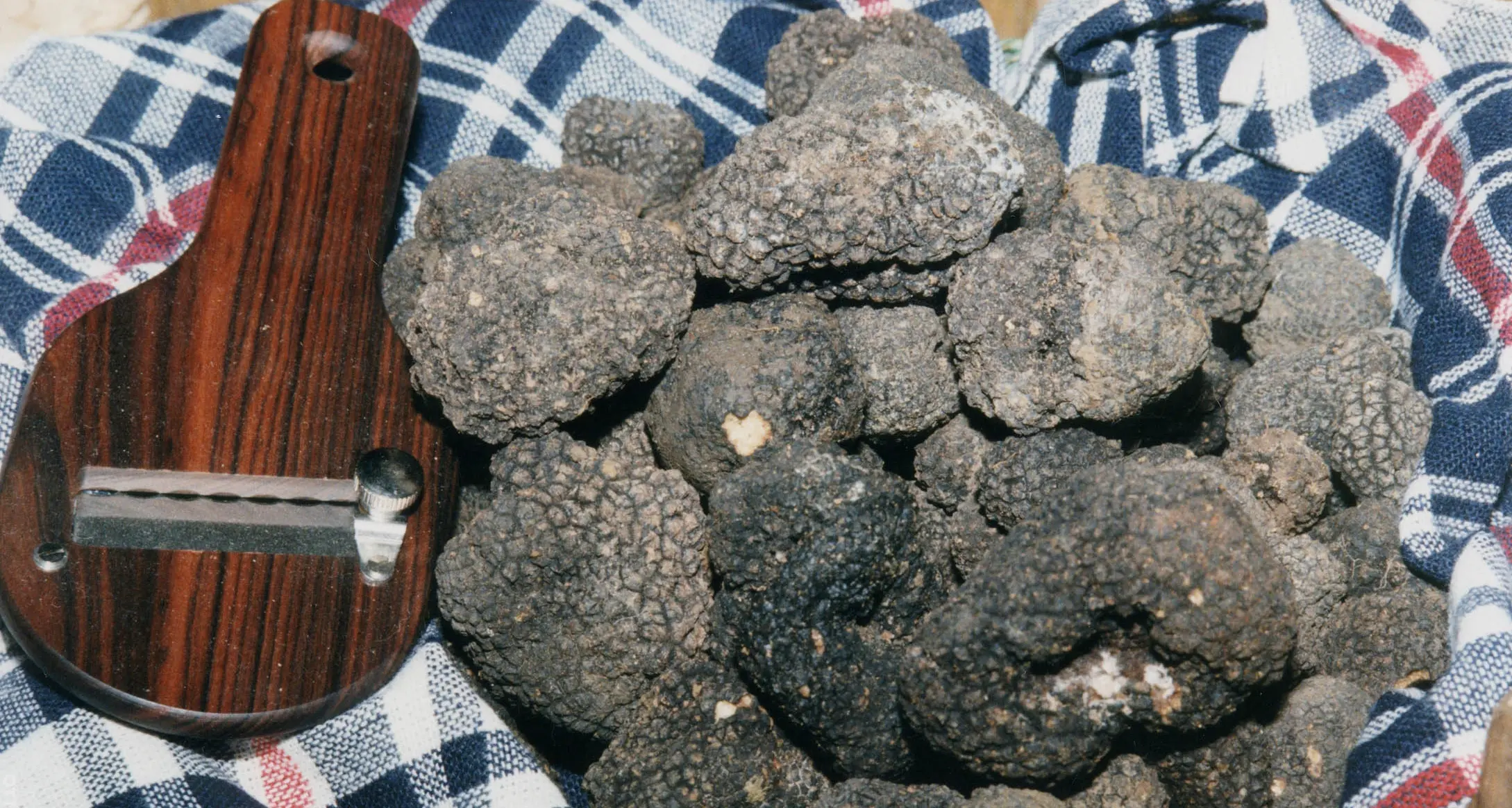 Il tartufo è un buon rimedio contro l'invecchiamento