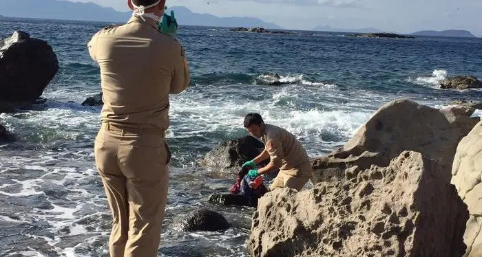 Profughi in fuga, annegata in Turchia bimba di 4 anni
