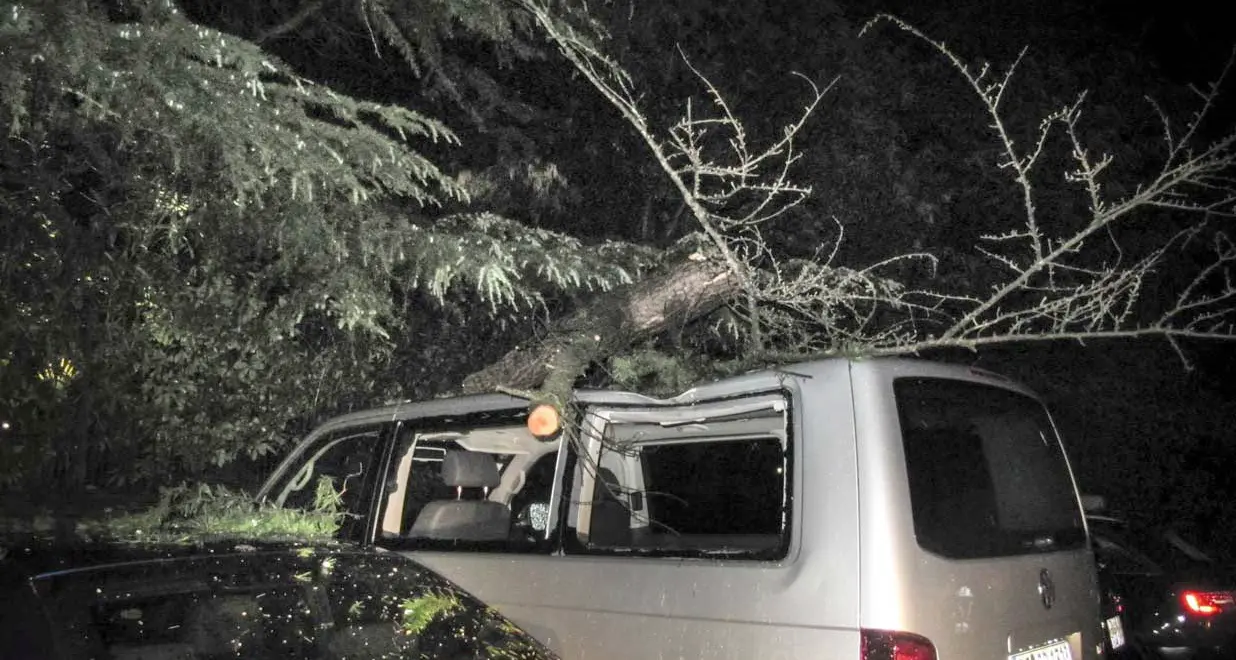 Cento alberi abbattuti dal fortunale