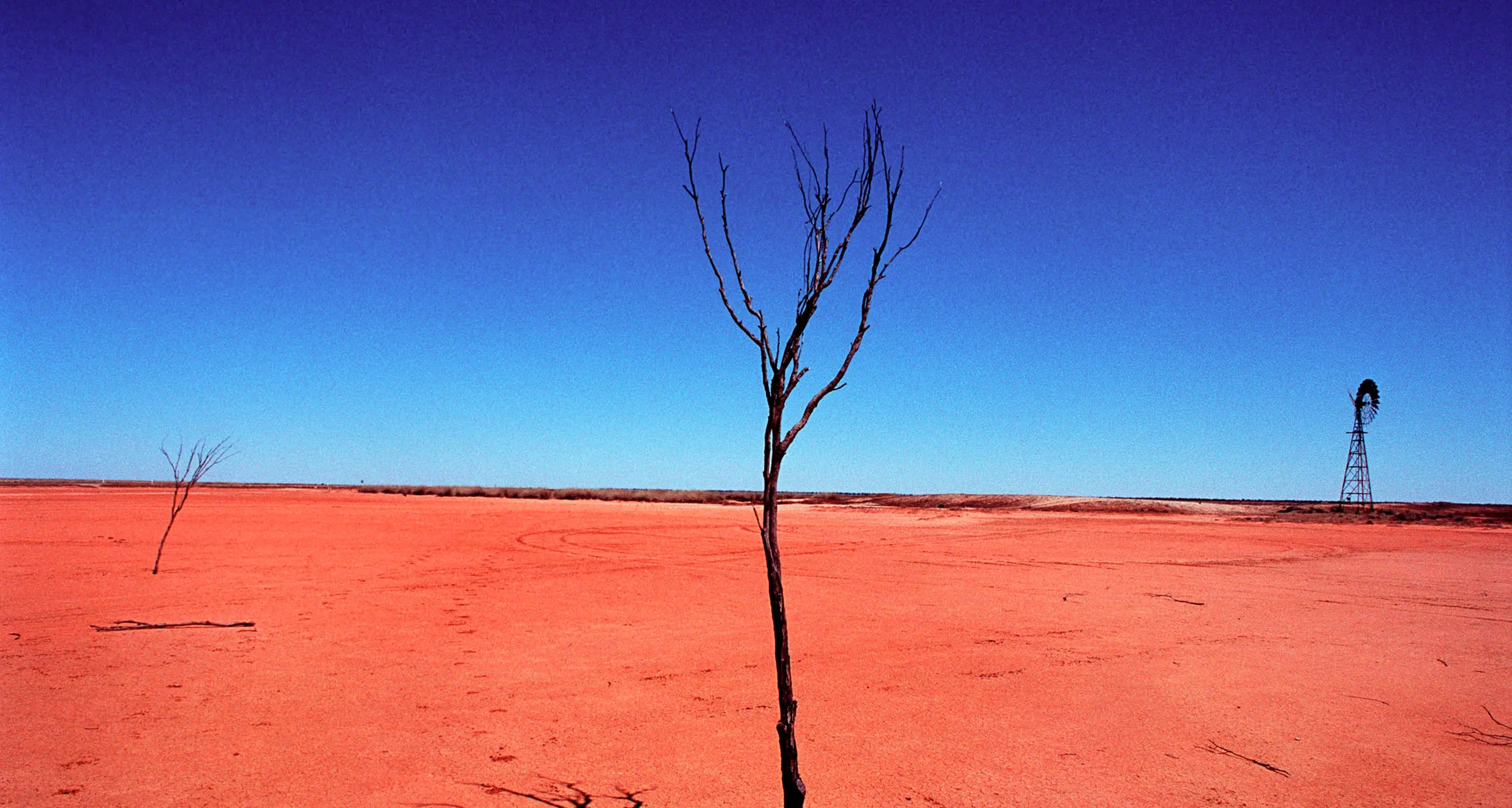 Caldo da record nel 2015 E non è una bella notizia