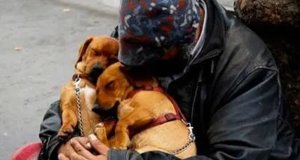 Tratta di cani per gli accattoni L'Enpa: «Cuccioli per intenerire»