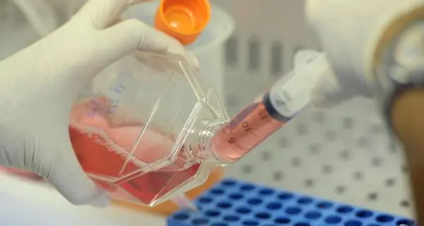 Un farmaco rallenta dell'88% la crescita del cancro alla prostata