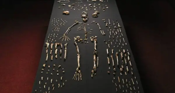 Ecco l'Homo naledi, scoperto in Africa Forse è il nostro antenato più antico