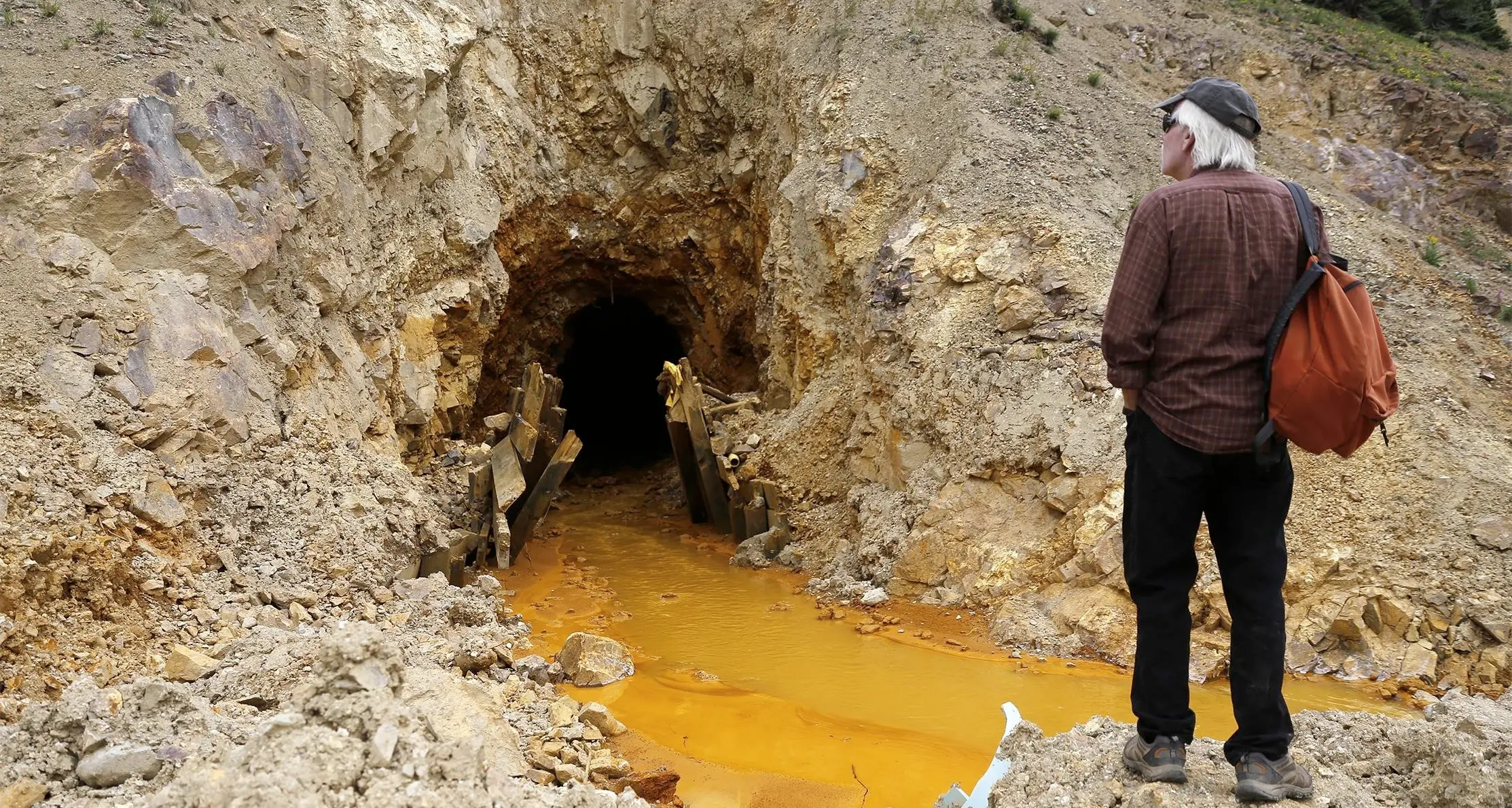 Stagni e paludi, Oasi Wwf: due giorni di apertura al pubblico
