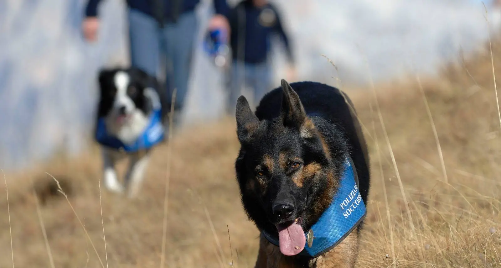 I cani della Polizia di Stato ritrovano un'anziana smarrita