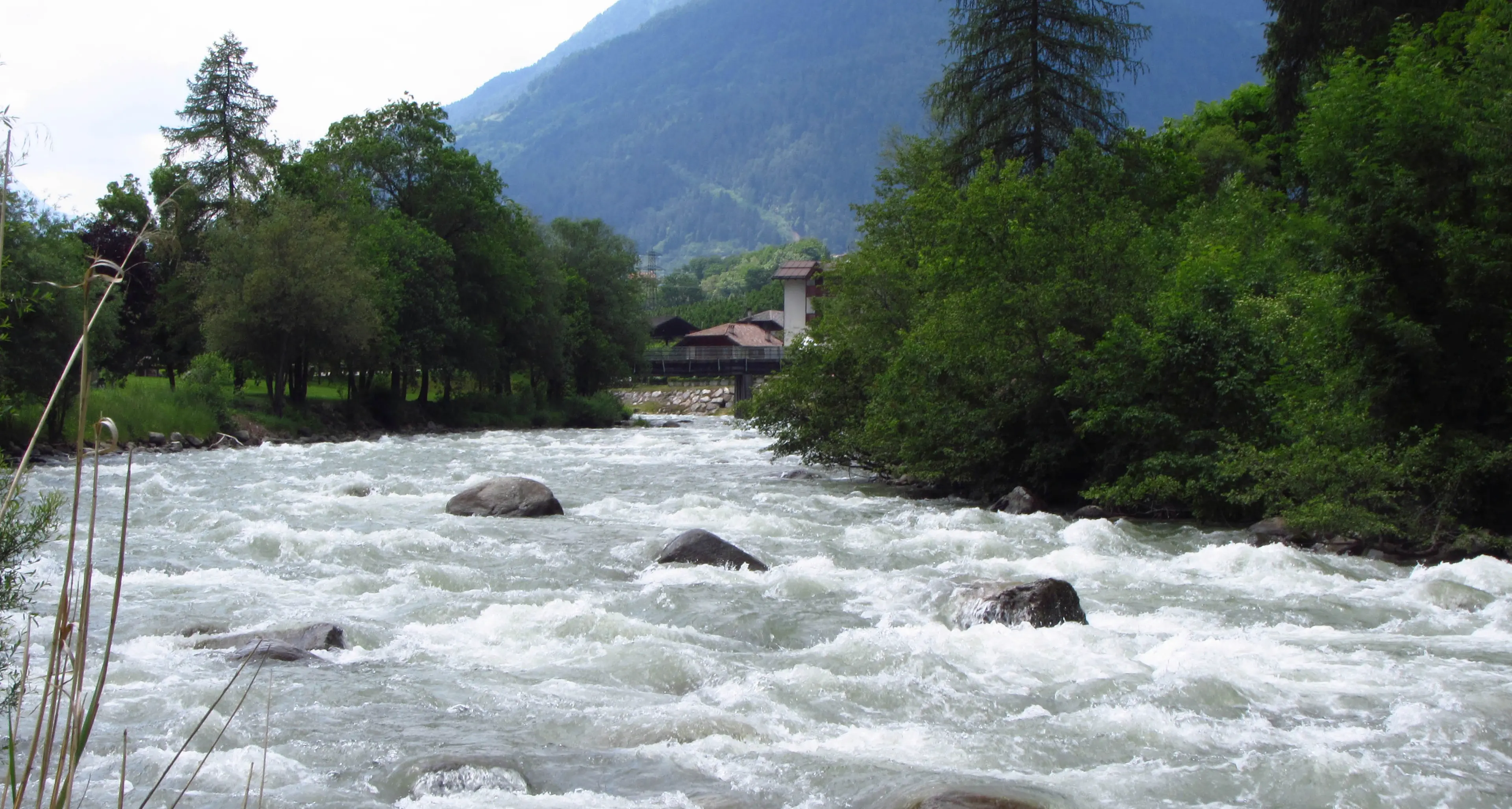 Concessioni sul Noce: mappate le richieste in Val di Sole