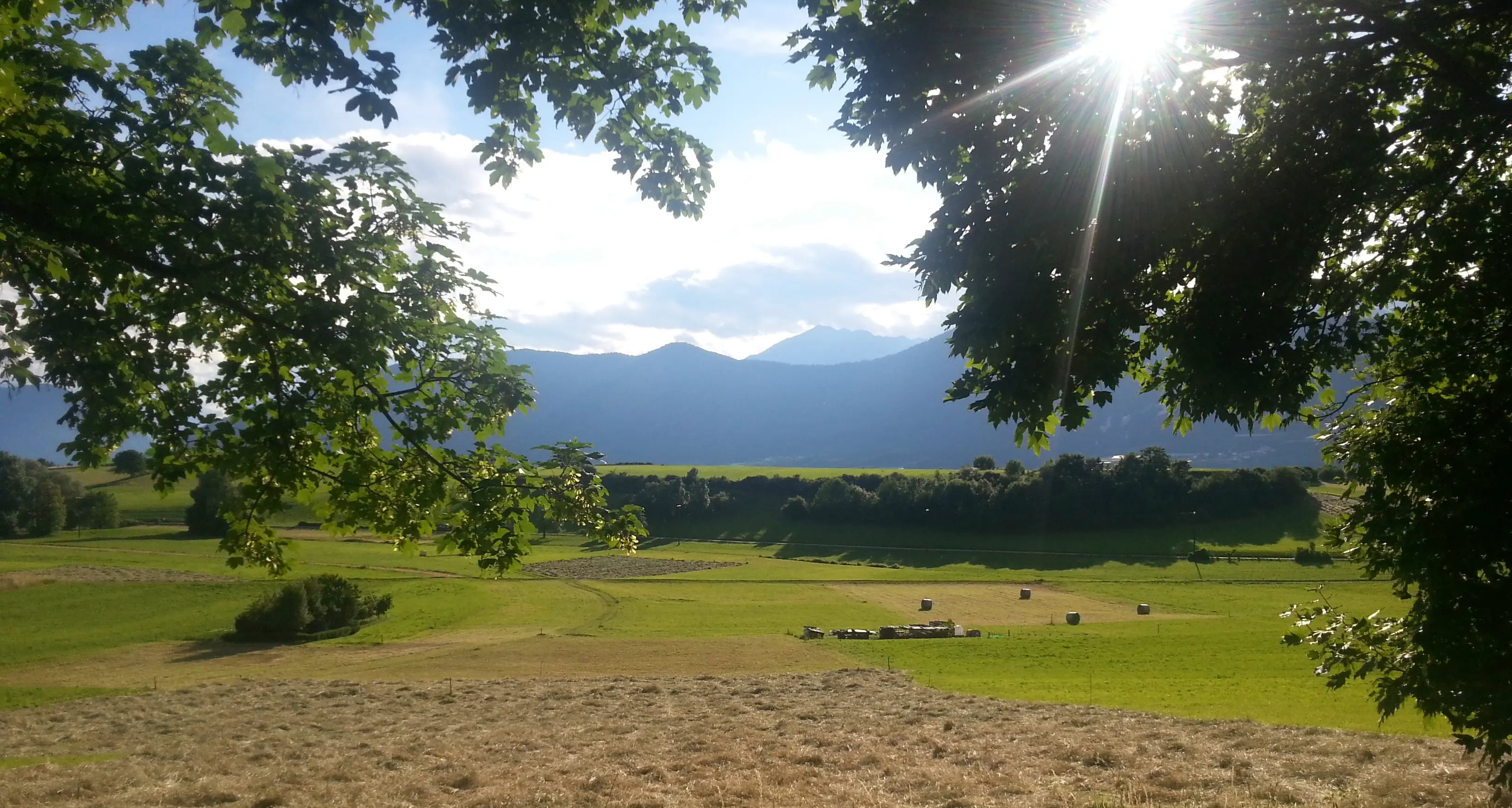 «Dal gran al pan» filiera corta in val di Non