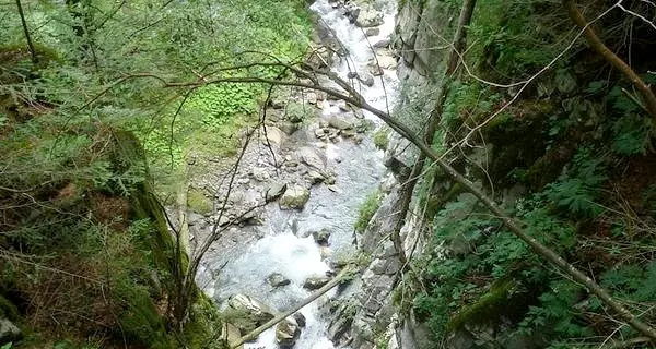 Premiati in Comune gli studenti vincitori del concorso «Parco del Rio Salè»