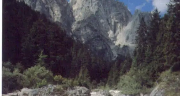 Val Canali, no allo sfruttamento idroelettrico