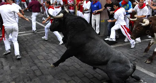 Spagna, muore incornato da un toro durante un «encierro»