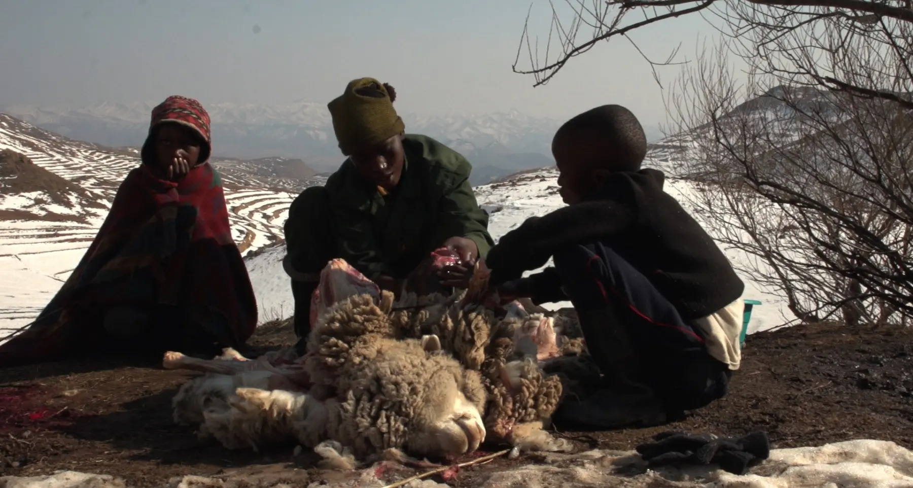 Film Festival, vince l'Africa di «Coming of age» Genziane anche per «Ninì» e «Damnation»